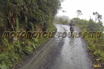 In the heart of the jungle, Motorcycle tour to Manu Cloud Forest